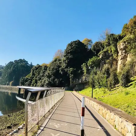 Апартаменты Acacios En La Concha Суансес